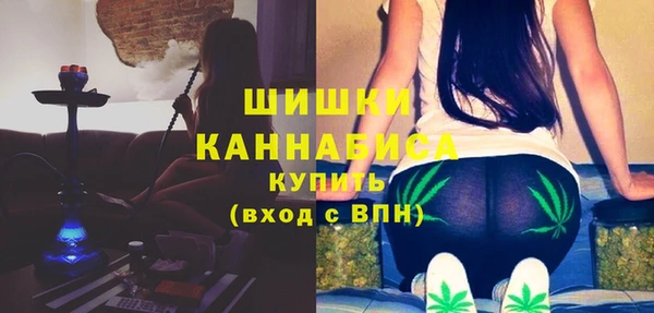 прущие грибы Бородино