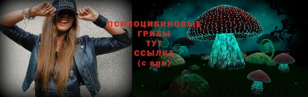 прущие грибы Бородино