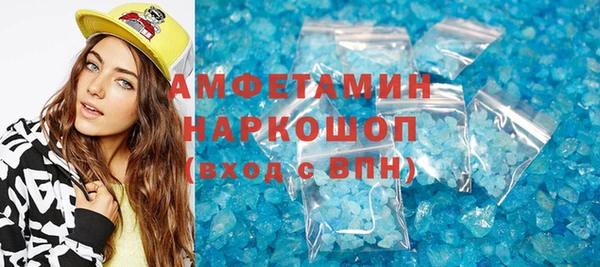 прущие грибы Бородино
