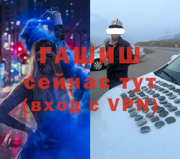 прущие грибы Бородино