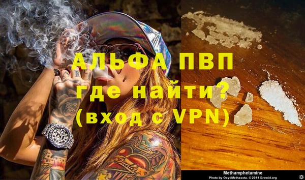 прущие грибы Бородино