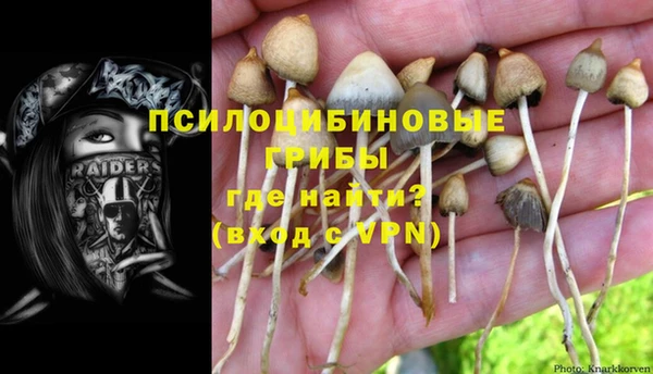 mdpv Бугульма