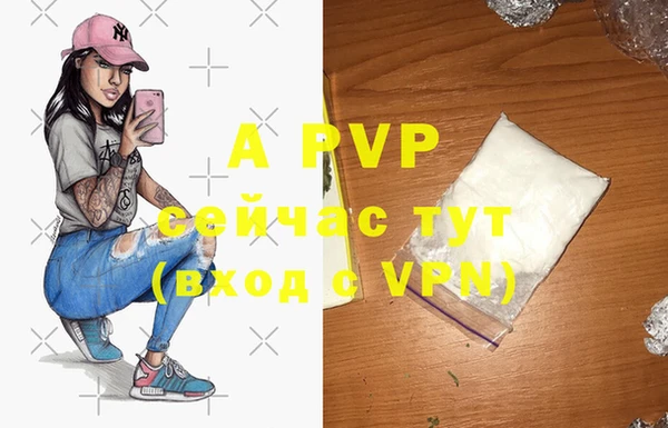ПСИЛОЦИБИНОВЫЕ ГРИБЫ Белокуриха
