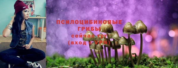 ALPHA-PVP Верхний Тагил